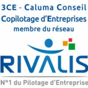 Conseiller en pilotage d'entreprise - Preignac (33) - Caluma Conseil